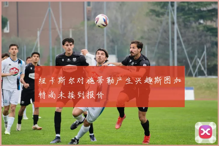 纽卡斯尔对施蒂勒产生兴趣斯图加特尚未接到报价