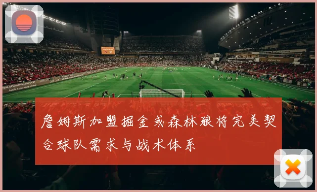 詹姆斯加盟掘金或森林狼将完美契合球队需求与战术体系