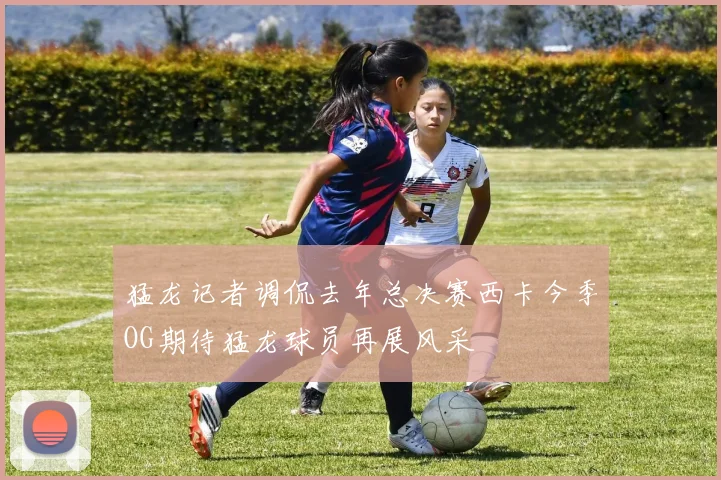 猛龙记者调侃去年总决赛西卡今季OG期待猛龙球员再展风采